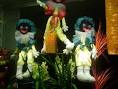 Little Shop of Horrors - via Daymix