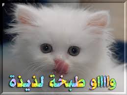 خليجية