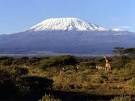 Kilimanjaro | New7Wonders of Nature
