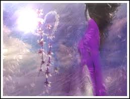 http://t3.gstatic.com/images?q=tbn:ANd9GcQD6A6jT3TEnlBVqWQEvtVmK7XAUnocnE5YdeOqgHpi2vPPod8B