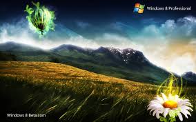 http://t3.gstatic.com/images?q=tbn:ANd9GcQD7YFjnSf_iOX4lh8JwBeGVrkeqr6HuqkBqWz8NxMzpuJQGhFxkQ