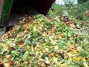 MA DEP Preparing Bans on Discarded Food Waste | Totally Green