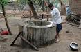 WHO | Campylobacter