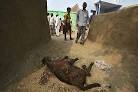 In pics: Arnia, the village under Pakistani fire - Hindustan Times