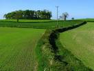 J4680 : Fields close to the 'Jan Mayen Clump' near Bangor - via Daymix