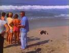 Faces Of Death (1978) (Video Nasty review #6) « That Was A Bit Mental