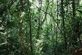 Chiapas - Wikipedia, the free encyclopedia