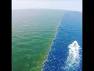 Image result for 2 ocean meet but do not mix chemicals