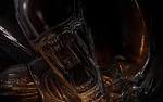 Free Aliens vs Predator Wallpaper in 1920x1200 pcgamewallpapers.net 