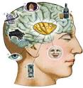 Cognitive Science Program | Cognitive Science Program - McGill ...