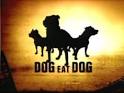 Dog Eat Dog - Reality TV Shows, Reality Game Show/