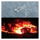 BJP compliments Coast Guard for foiling possible terror attack.