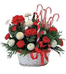http://t3.gstatic.com/images?q=tbn:ANd9GcQE_VOcDXE1P6IuRhatukKblJP-Eh7gbY010OlUDNLy-VnjqZA1