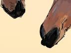 Horses « Thousand Sketches