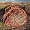 Fossil - Wikipedia, the free encyclopedia