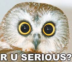 images?q=tbn:ANd9GcQF6A3M6HBcUmXROzBBsw0pzwoqNJGyCFDNp3S3WxhO9w0vyng2gQ