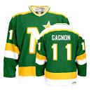 Dallas Stars Championship,Dallas Stars Highlights,Dallas Stars Fabric