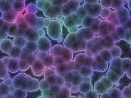 Growth Factors, cell growth factor, stem cell growth factors, cellular growth factors