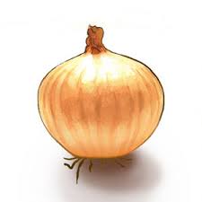 http://t3.gstatic.com/images?q=tbn:ANd9GcQFe-8NgCZf0RD0jm63csdMTNAp-FchvCHkLKjISUW6A_CytlYl