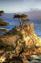 PEBBLE BEACH, California - Wikipedia, the free encyclopedia