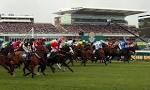Crabbie��s Grand National Chase Preview and Tips JPFestival.