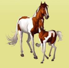 images?q=tbn:ANd9GcQGrdkyQ5MGuiSjpwmBbTdXCO9KZ6FtOYN0VKuxSMnYfZETa6vY