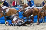 File:Horseball fall.jpg - Wikimedia Commons
