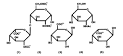 Structure of <b>Heparin</b> Sodium