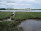Marshland near Blythburgh. View over the tidal River Blyth. - via Daymix