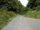 The minor road between Barranisky and Jack White's Pub on the N11. - via Daymix