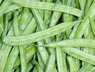 Health Tips ,Diet Tips and Healthy Foods: Cluster bean