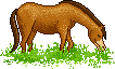 http://t3.gstatic.com/images?q=tbn:ANd9GcQHOGY_CjtiGJnSrvzkby2P86WHyY8z6gpoOuso0OapaM6y1o8piQ