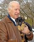 Biden's first puppy: