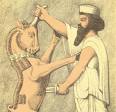 First King | Iranian.