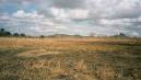 African Plains" - Photo of Tanzania, Africa by bmayhew - IgoUgo
