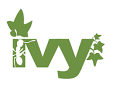 ivy-lierre.png