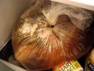 Thanksgiving Dinner: Turkey