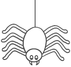 Spider coloring page