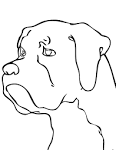 Boxing coloring page