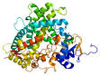 CYP1A2 - Wikipedia, the free encyclopedia