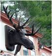 Mountain Lodge Decor   North Country Cottage   specialty foods