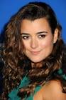 Cote de Pablo Fall Season