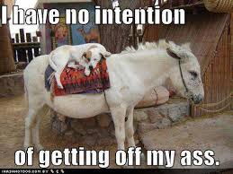 external image images?q=tbn:ANd9GcQIVvR3QcHOsFWQQLVn2O9trwDmOzdTvGWqUYnDFCw_RnoniA2f