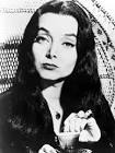 The Addams Family