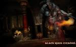 Free Age of Conan Wallpaper in 1920x1200 pcgamewallpapers.net 