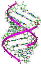 Imperial College Computational Bioinformatics Laboratory (
