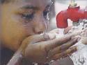 guias para la calidad del agua potable