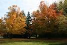 Greeley Park - Nashua - Reviews of Greeley Park - TripAdvisor
