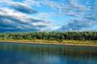 River in summer scenic public - via Daymix