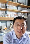 Gene may be good target for